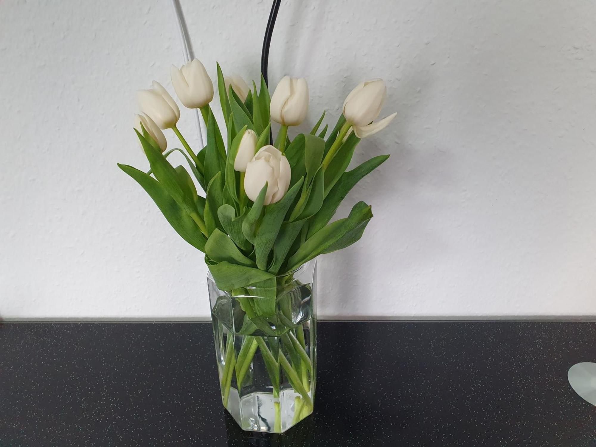 Apartement Weingarten ไวน์การ์เทิน ภายนอก รูปภาพ